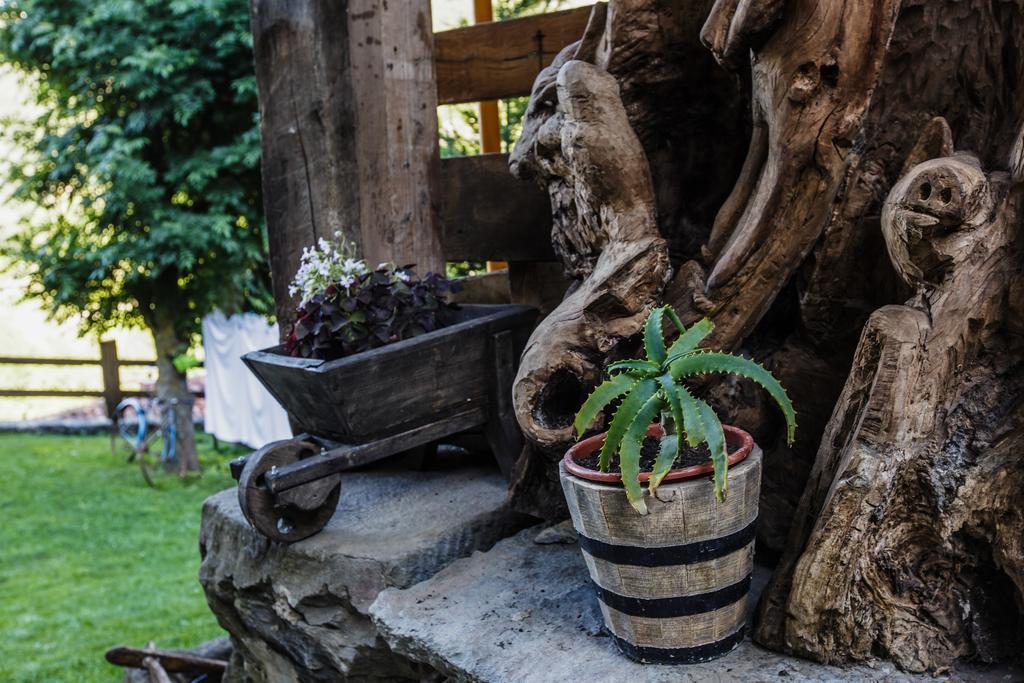 La Posada De Cucayo Dobres Kültér fotó